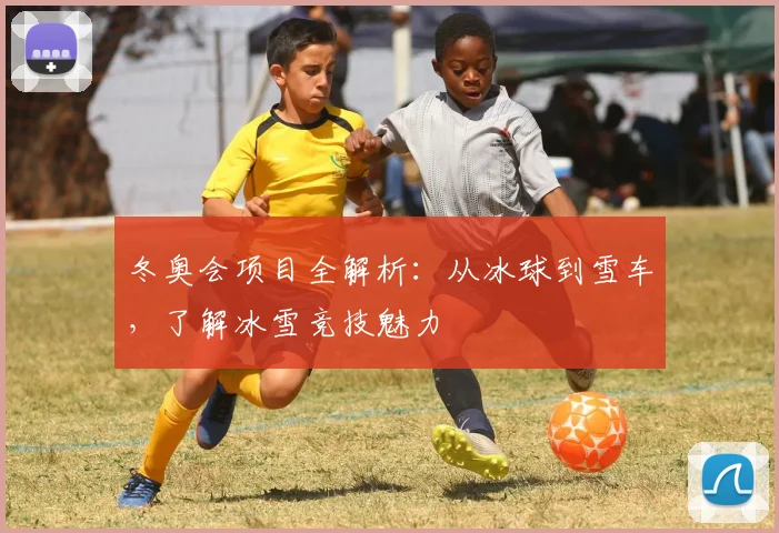 冬奥会项目全解析：从冰球到雪车，了解冰雪竞技魅力