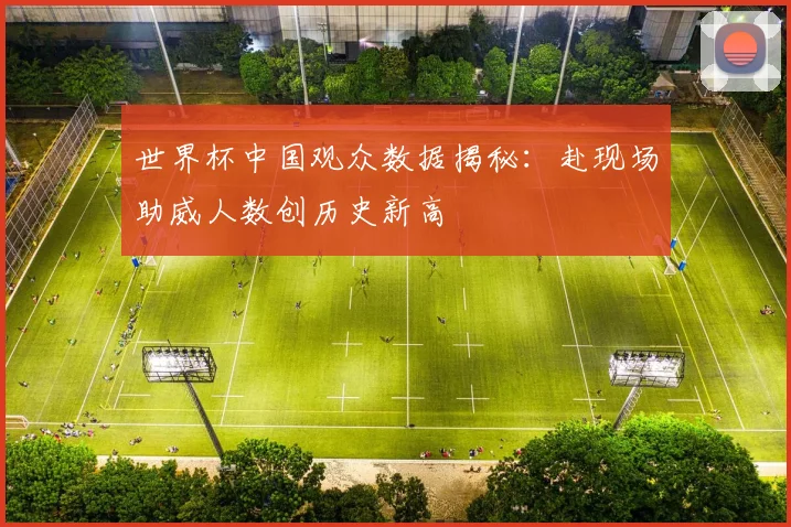 世界杯中国观众数据揭秘：赴现场助威人数创历史新高