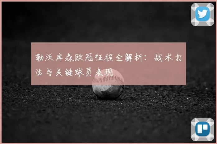 勒沃库森欧冠征程全解析：战术打法与关键球员表现