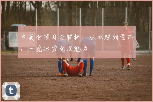 冬奥会项目全解析：从冰球到雪车，一览冰雪竞技魅力